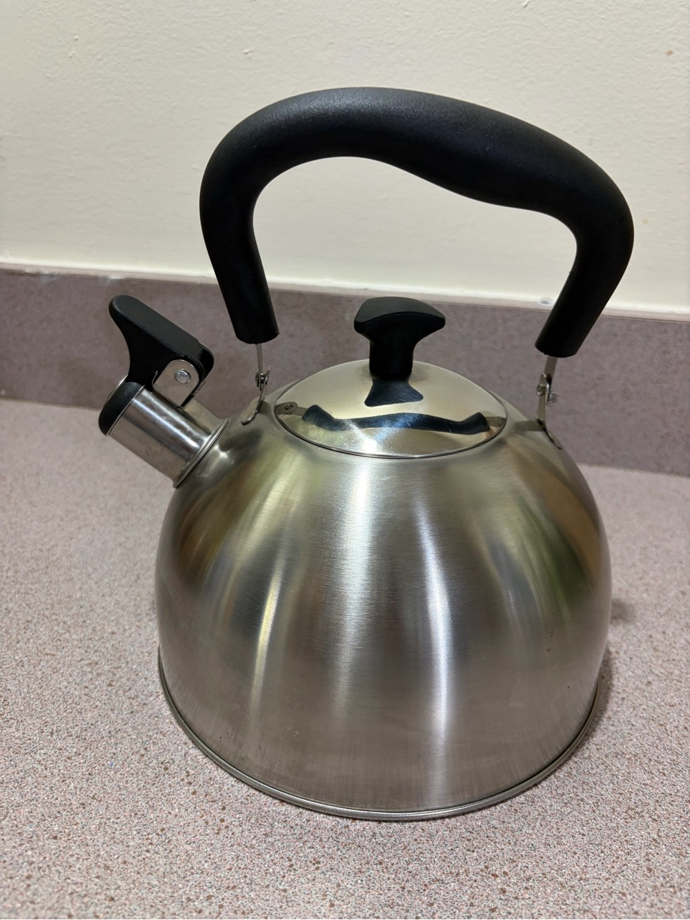 Brushed Stainless Steel Whistling Tea Kettle with Black Handle
